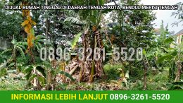 Cari Tanah Strategis  Hubungi : 0896-3261-5520 Tanah Pamulang Indah Nyaman nan Asri Di  Kabupaten Lanny Jaya